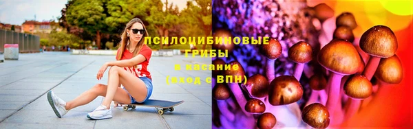 МДПВ Михайлов
