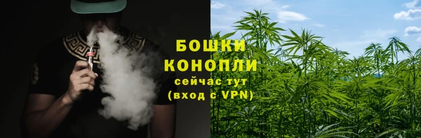 МДПВ Михайлов
