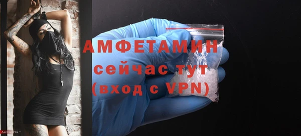 МДПВ Михайлов